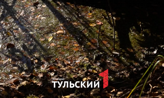 В деревне под Тулой из-под земли вытекает битум