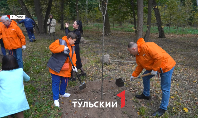 Сотрудники завода «ЕВРАЗ» высадили аллею рябин в Туле