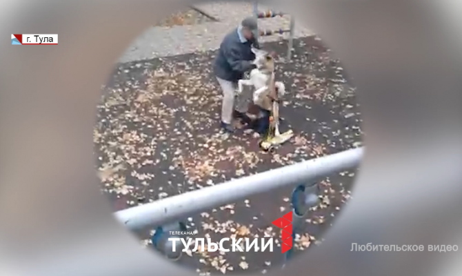 «За голову, спину и руку»: в Туле собака покусала 5-летнего мальчика