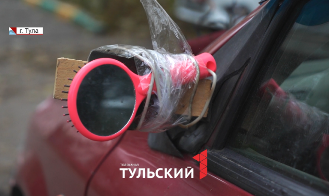 В Тульской области водитель сбил корову: кто возместит ущерб за разбитую машину