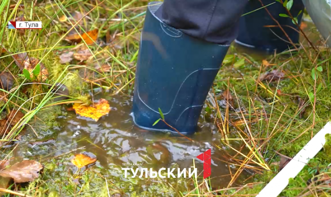 «Легкие планеты»: под Тулой нашли болото возрастом 2,5 тысячи лет