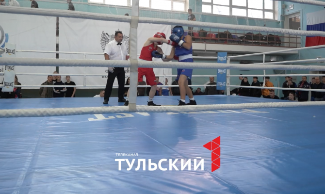Интеллектуальный вид спорта: тульские спортсмены опровергли популярные стереотипы о боксе