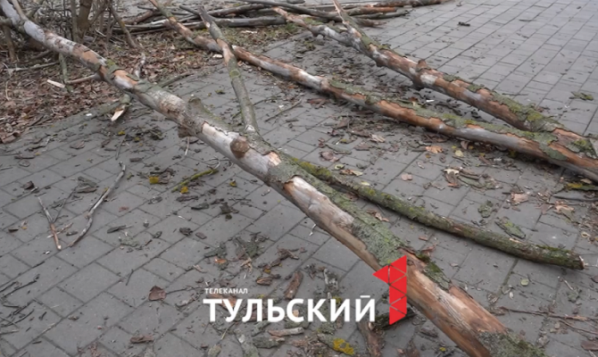 По Тульской области прошелся Каэтано: какой ущерб нанес циклон