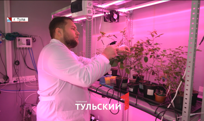 Ученые из Тулы разработали карманный глюкометр и раствор для очищения воды