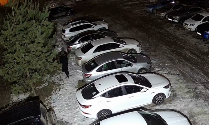 На улице Хворостухина в Туле женщина оборвала сосну