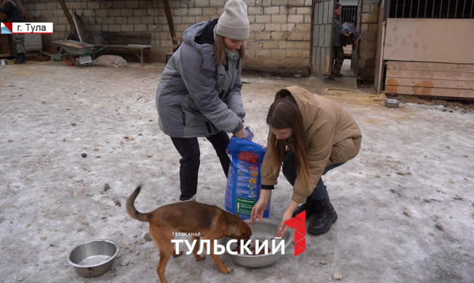 Телеканал «Первый Тульский» передал подарки приюту для собак