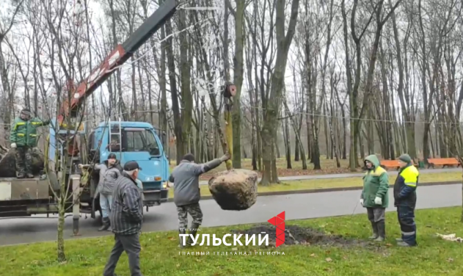 В Белоусовском парке Тулы высаживают новые деревья