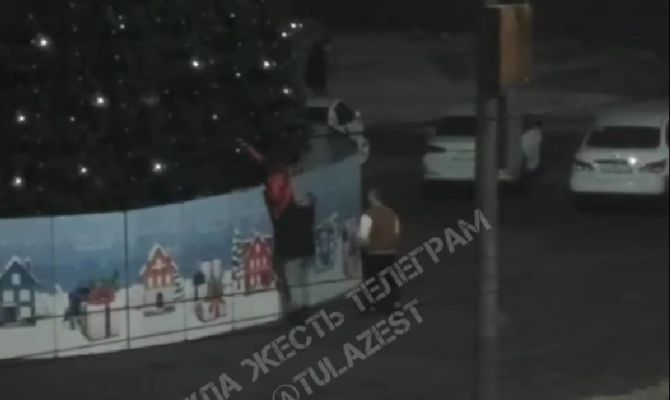 В Туле три хулигана обокрали новогоднюю елку