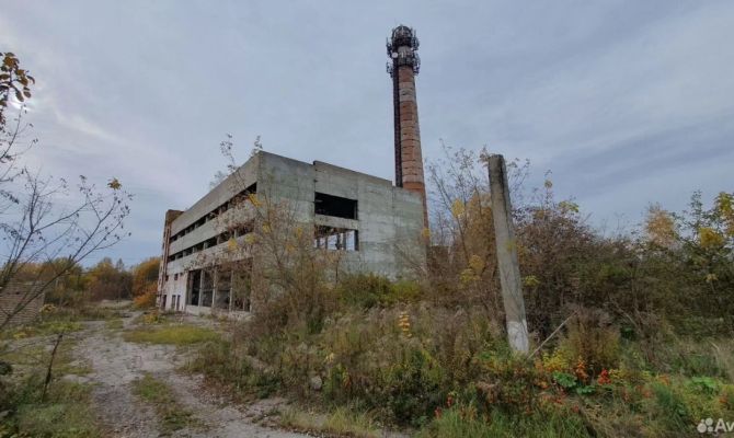Под Тулой продают комплекс бывшей птицефабрики «Тульский бройлер» за 120 млн рублей