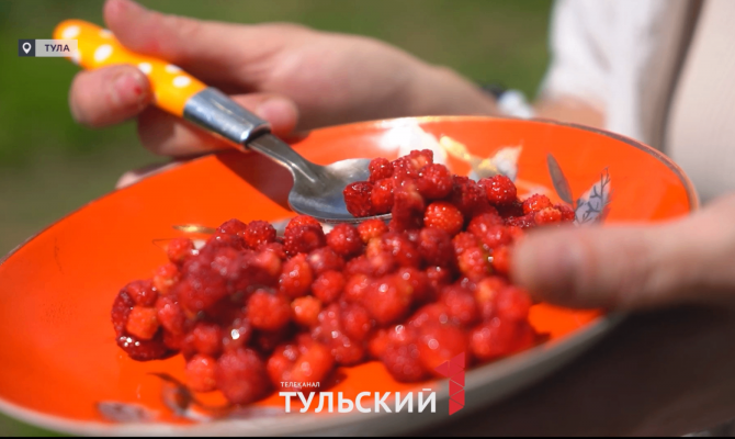 Секрет поиска земляничных полянок раскрыла ягодница из Тулы