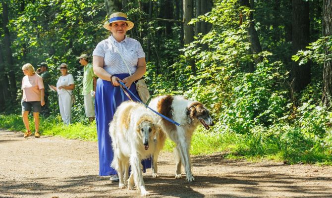 Юных художников пригласили на конкурс «Охотничья собака Льва Толстого» в «Ясной Поляне»