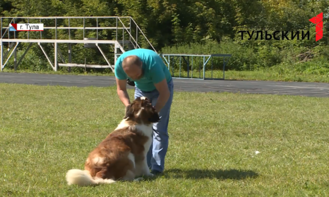 Как в Туле щенки становятся служебными собаками