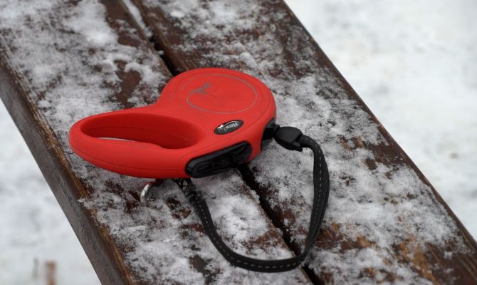 Тулячка отказывается платить моральную компенсацию за покусанного собакой ребенка