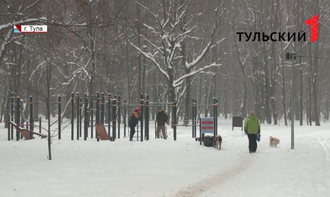 Поводок и намордник: как тулякам правильно выгуливать собак