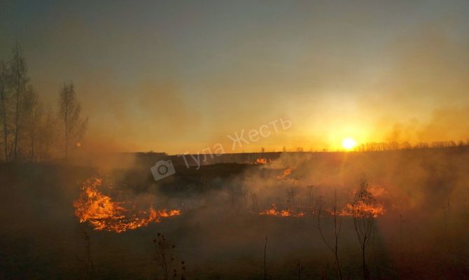 "Пожар на рассвете": в тульском Шатске загорелась трава