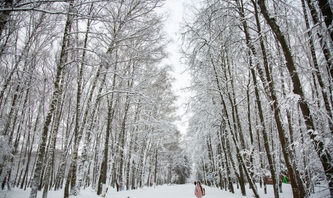 23 января в Туле похолодает до -15 градусов