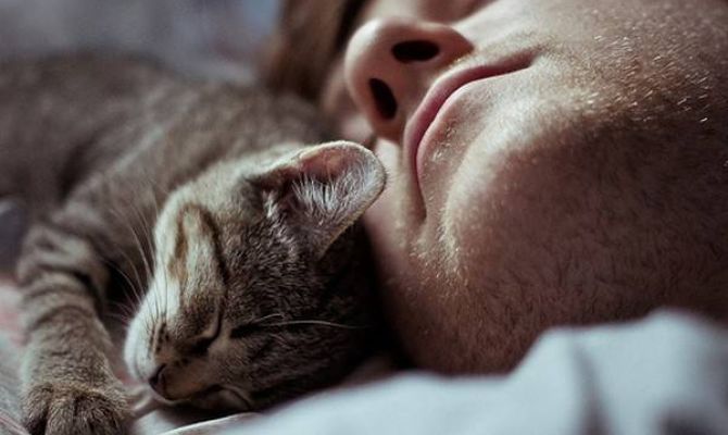 Когда туляки дождутся следующих длинных выходных