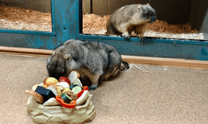 Сережа считает, что весна в Туле будет теплой и ранней. Наташа сомневается