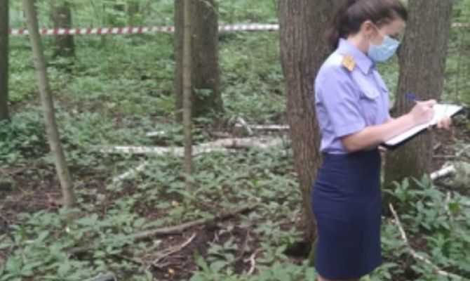 В лесу под Богородицком нашли привязанный к дереву труп: организаторов "розыгрыша" будут судить