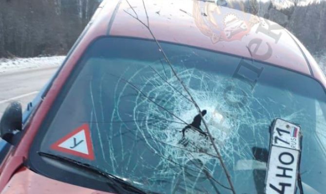 Под Тулой водитель-ученик устроил ДТП и отказался пройти тест на алкоголь