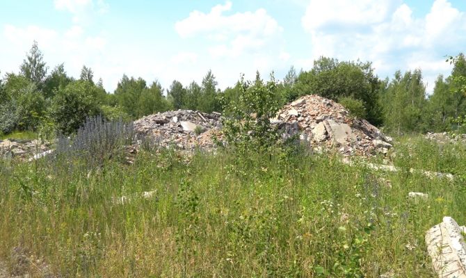 На незаконном полигоне под Тулой несколько лет складировали строительный мусор и битые стекла