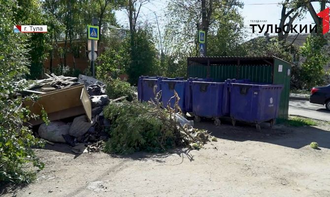 За выброшенный из машины мусор автомобиль смогут конфисковать