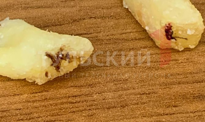Посетитель ресторана "Вкусно – и точка" в Туле пожаловался на таракана в картошке фри
