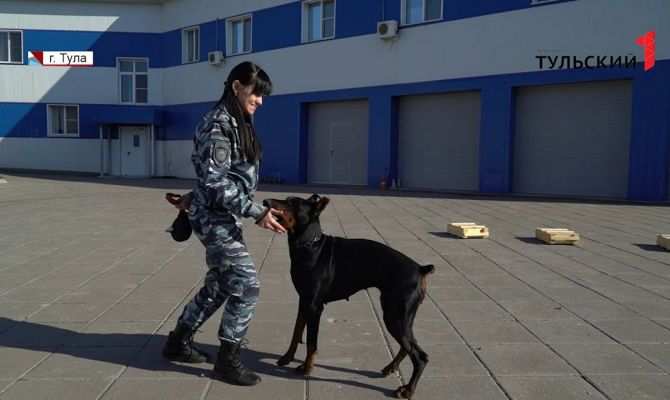 Тульские кинологи вошли в число лучших в России