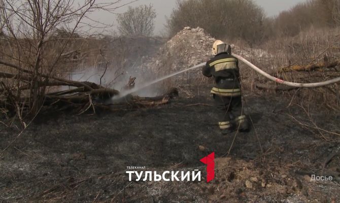 Тулякам предложили заработать на борьбе с лесными пожарами