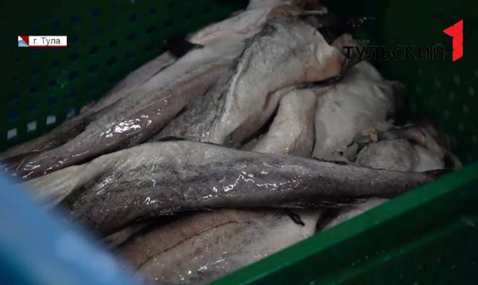 В Тульской области появится логистический центр для распределения рыбной продукции