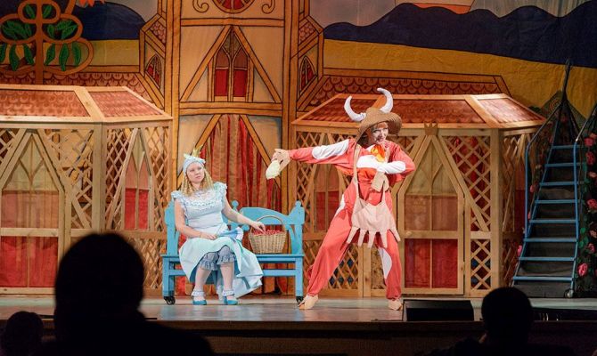 Девять спектаклей смогут бесплатно посмотреть многодетные семьи в театрах Тулы