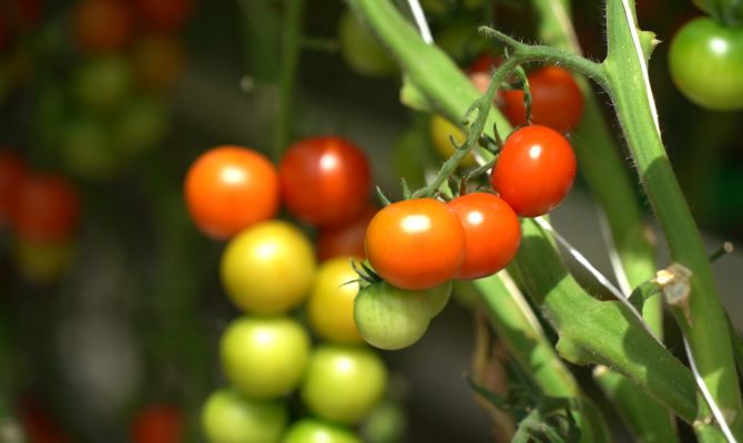 У туляков без опыта работы есть возможность быстро сделать карьеру