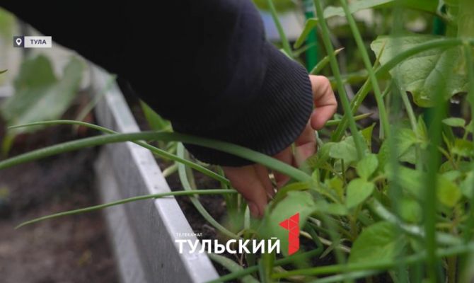 Губернатор подарил новую теплицу тульским школьникам с ОВЗ