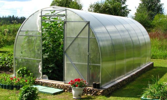 Сроки льготного кредитования для тепличных хозяйств продлят 