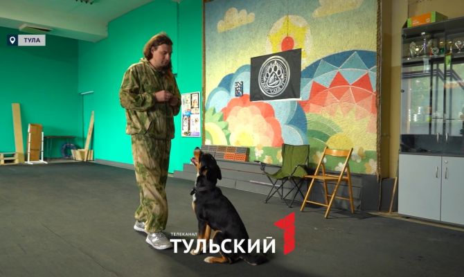 Как тульские собаки-ищейки помогают находить пропавших людей 