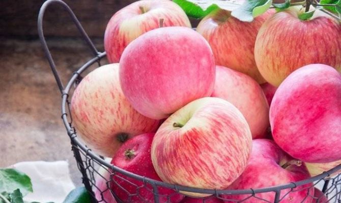 Туляков приглашают на «Яблочный Спас»