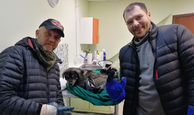 Тульские байкеры спасли провалившуюся под лед собаку и теперь устраивают ее судьбу