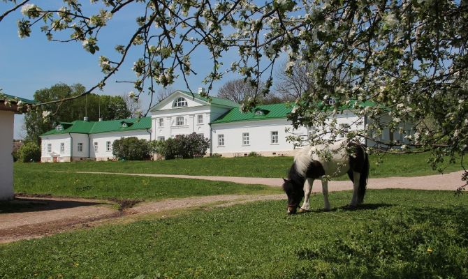 Названо время начала заключительного этапа продажи билетов на фестиваль "Толстой"