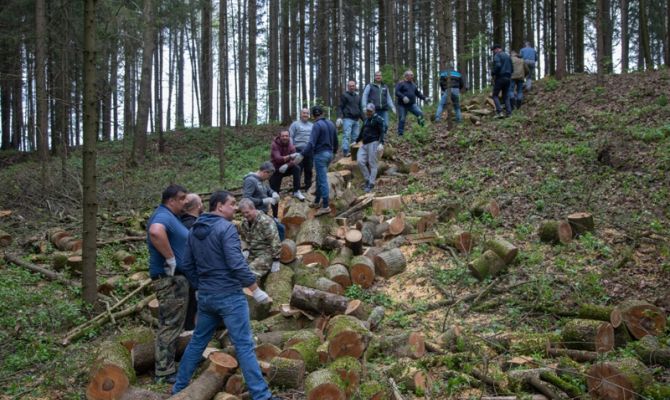 Туляков приглашают восстановить мемориальные леса в Ясной Поляне