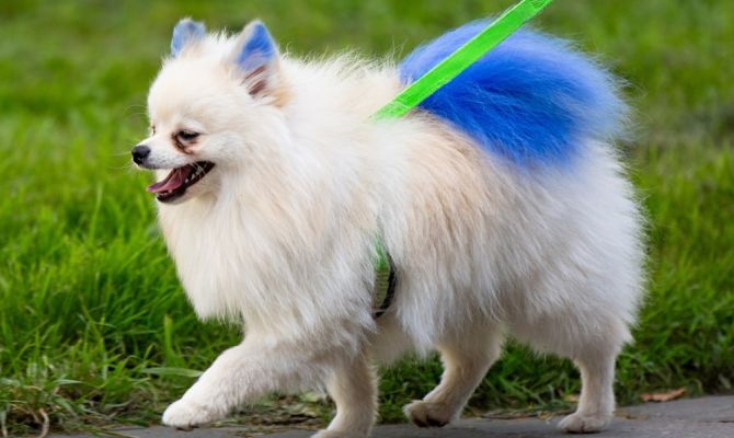 В Туле 5 августа обойдется без осадков