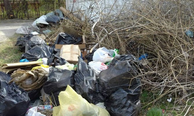 Кимовскую администрацию обязали ликвидировать свалки веток и мусора