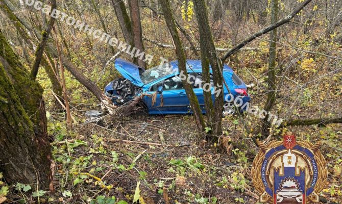 Под Тулой 23-летняя девушка на «Пежо» съехала в кювет и врезалась в дерево
