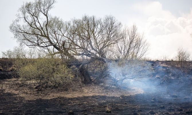В Тульской области стартовал пожароопасный сезон