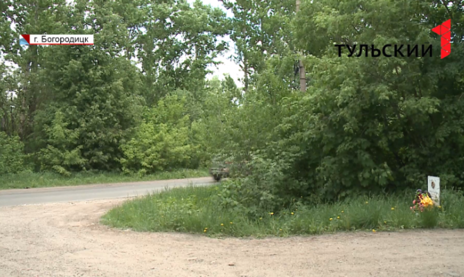 Гибель ребенка на дороге в Богородицке: подробности  