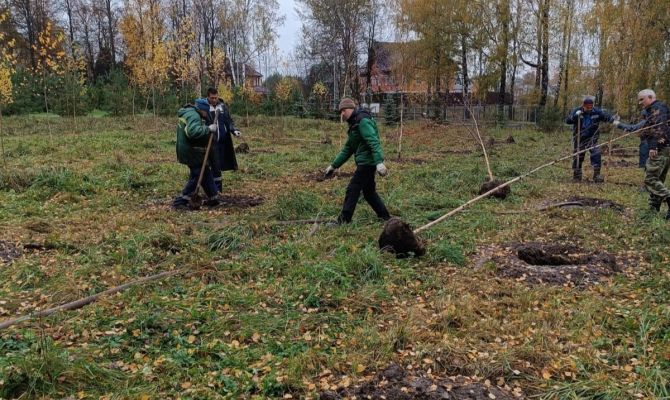 В Пролетарском парке Тулы посадили 200 деревьев