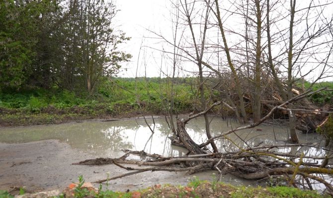 На картах не значится: в деревне под Тулой появился ручей из нечистот