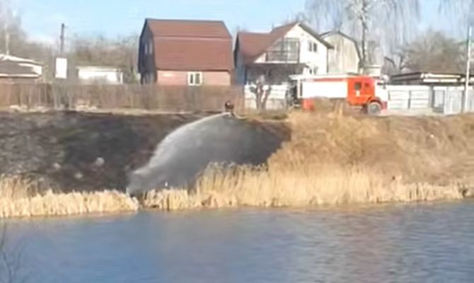 В Пролетарском парке Тулы загорелась сухая трава