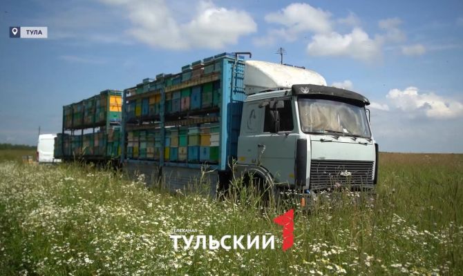 Под Тулой появились фуры с мобильными пасеками