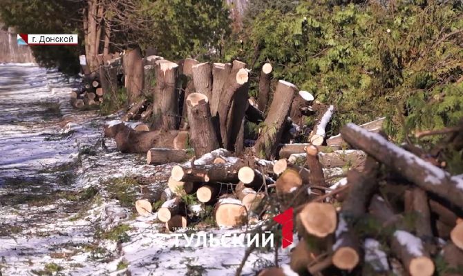 Директору музейного комплекса "Бобрики" объявили выговор за спиленные туи