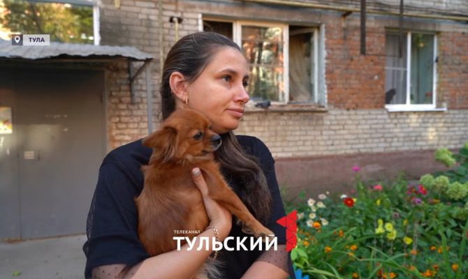 В Туле на День города водитель задавил собаку на глазах хозяйки